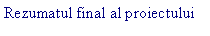 Text Box: Rezumatul final al proiectului