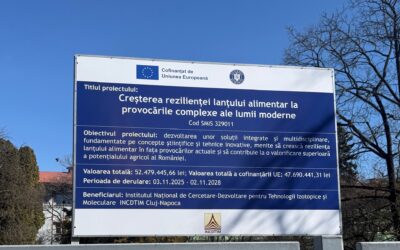 Afișare panou proiect la INCDTIM